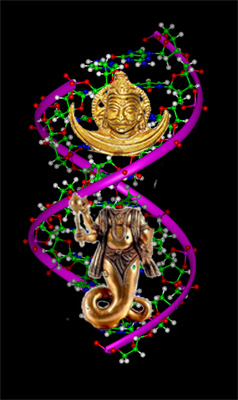 rahu-ketu-dna