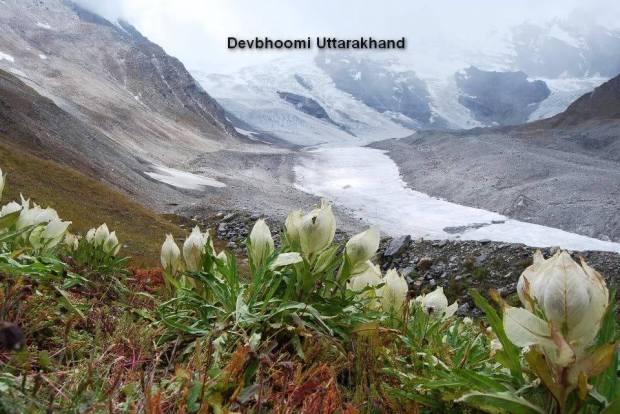 16996319_377285469324874_1703237119836845860_n