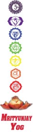 Chakras with name small size