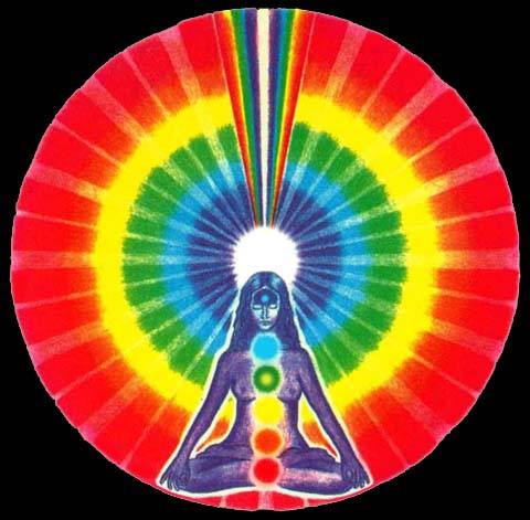 48377281_732723280447756_5950994389122678784_n