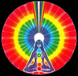 48377281_732723280447756_5950994389122678784_n