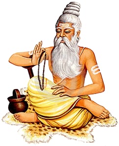 51321699_1895794493864644_8108704435858833408_n