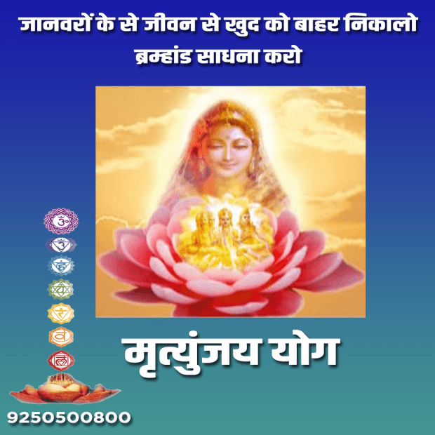 brahmandiya sadhana.png