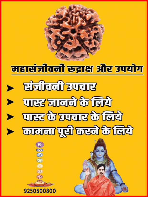 Mahasanjivni rud or use.png