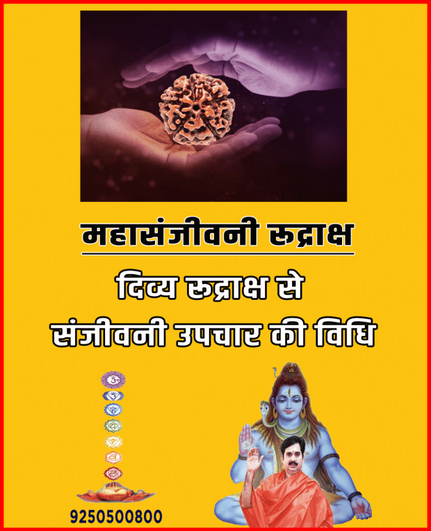 Mahasanjivni rud vidhi.png