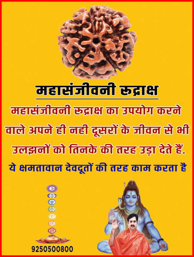 Mahasanjivni rud.png